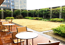 屋上庭園